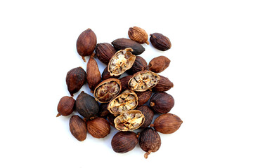 Dried Black Cardamom or Greater Cardamom