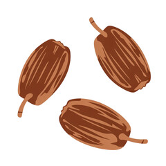 Three Brown Dates with Wrinkled Texture and Stems  Oval-Shaped Fruits in Varying Angles, Highlighting Sweetness and Natural Detail