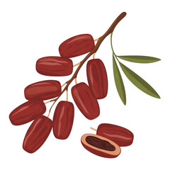 Palm’s Sweet Offering: Reddish-Brown Dates with Leaves and Exposed Seed Celebrating Nature’s Nourishment and Cultural Roots