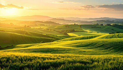 Obraz premium Silhouetted Horses Against Golden Sunset Horizon Rural Tranquility