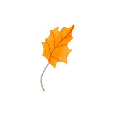 Fototapeta premium autumn maple leaf illustrasi
