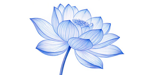 Elegant Blue Flower on White Background – High Quality Botanical Art