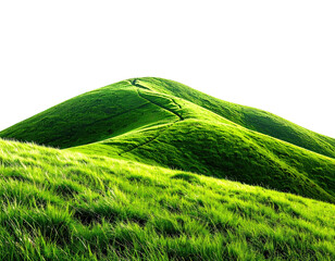 Lush, sunlit green hillside with a winding path against a black sky