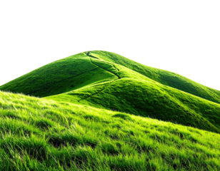 Lush, sunlit green hillside with a winding path against a black sky