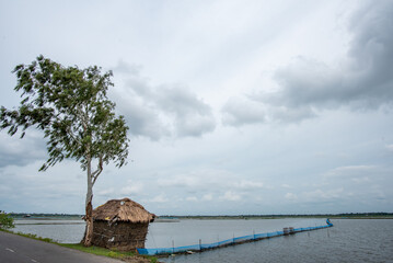 Shrimp farm