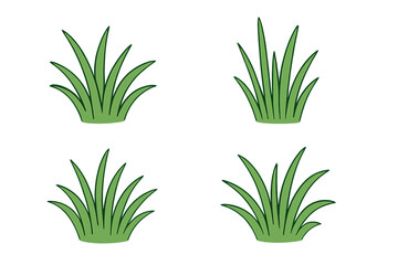 Collection of green grass clumps. Vector flat hand drawn illustration. Isolated cartoon tufts for spring, summer, lawn, garden, or nature design. Fresh herb and plant elements.