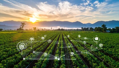 Smart Farming and Agriculture Technology with Digital Overlay