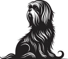 Elegant Silhouette of a Long-Haired Small Dog Sitting Isolated on White Background