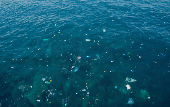 A lot of trash in the water, pollution, environmental issue