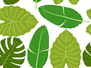 Seamless pattern of fresh green leaves isolated on white background, a close-up of natural plant foliage and texture in spring or summer