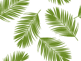 Seamless Pattern Tropical green palm tree branches and leaves are isolated illustrations of summer nature