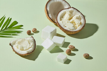 Coconut shells, shea butter, and shea nuts styled with palm leaf on pastel surface, showing...