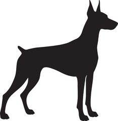 Doberman Pinscher Dog Silhouette Standing Vector Illustration Isolated on White Background

