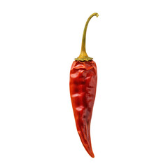 Close-up of a dried chili pepper with intricate texture isolated on white background