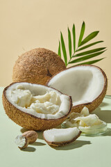 Front view of coconut halves and shea butter arranged with shea nuts, styled in minimal advertising photography for skincare, wellness, and organic cosmetic ingredient themes.