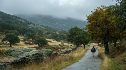 Obraz premium A person strolls along a peaceful pathway surrounded by rolling hills and scattered trees under a cloudy sky. Autumn leaves create a colorful backdrop in this tranquil setting.
