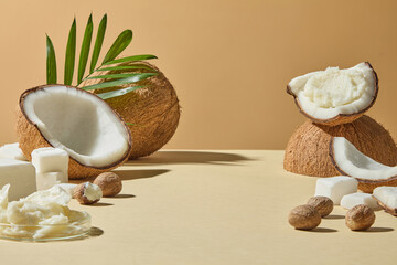 Still life featuring coconuts, shea butter, and palm leaf arranged minimal, styled for wellness, spa, beauty, and skincare advertising with tropical organic vibe. Blank space for display product
