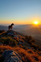 Majestic horse silhouetted at sunrise mountain peak photography natural landscape wide view serenity