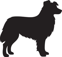 Long-Haired Herding Dog Silhouette – Side View of Australian Shepherd / Border Collie Isolated on White Background

