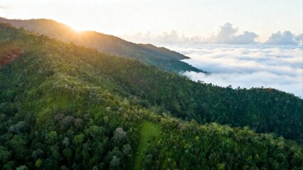 Fototapeta premium Sunrise over forested mountains