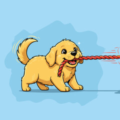Playful golden retriever puppy tugging on a rope toy against blue background  