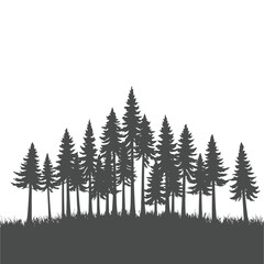 Obraz premium Dark silhouette of a dense pine forest on a hill.