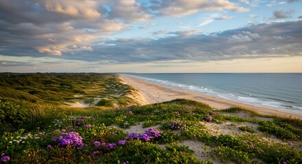 Vibrant coastal panorama: sandy beach, green dunes with wildflowers, and ocean under a dramatic golden hour sky.