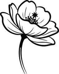 Illustrator Vector Elegant blooming flower botanical drawing graphic silhouette