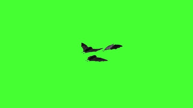 A group of dark, stylized bats flies across the frame with flapping wings against a chroma key green background, suitable for Halloween videos, horror intros, spooky transitions, or fantasy-themed ove