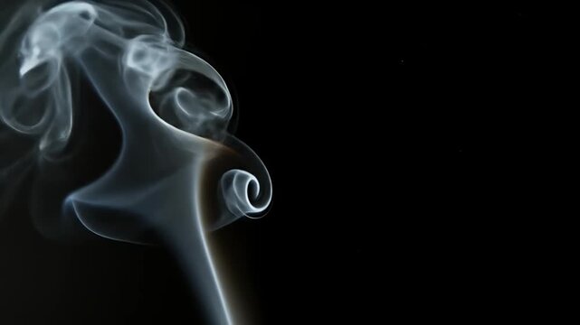 Abstract Smoke Swirls Against Black Background.