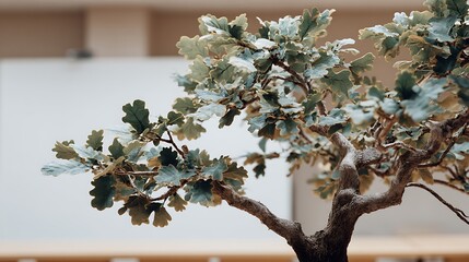 A close up shot of a bonsai tree with green and white leaves against a blurred background indoors