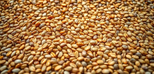 Obraz premium Close-up of scattered sunflower seeds forming a textured background, harvest, speckled
