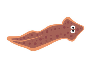 Planaria Flatworm Illustration
