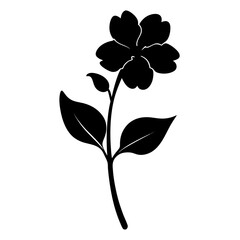 nemesia strumosa wisley vanilla flower silhouette vector on white