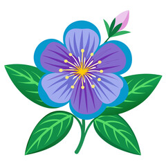 nierembergia hippomanica flower vector on white