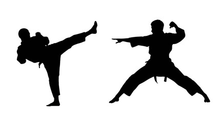 Silhouette of karate moves in vector illustration