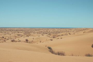 desierto, arena
