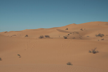 desierto, arena