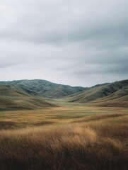 Fototapeta premium Wide landscape of grassy rolling hills under cloudy sky, peaceful countryside valley with golden meadow in foreground 