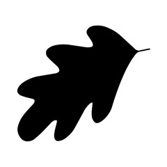 Obraz premium autumn leaves silhouette in transparent background 