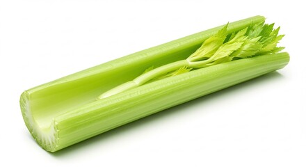 Fresh Celery Stalk Isolated on White Background Healthy Vegetable.