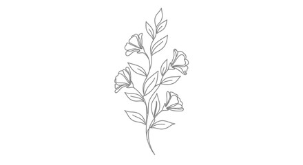 Elegant botanical illustration featuring delicate flowers and leaves for creative designs