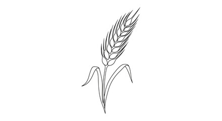 Elegant wheat ear outline illustration, evoking simplicity and natural beauty for design projects