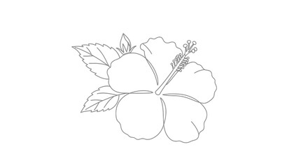 Elegant hibiscus flower line art illustration in minimalist style on white background