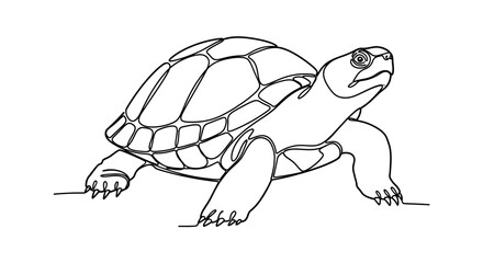 Minimalist Line Drawing of a Turtle on a White Background with Intricate Shell Details