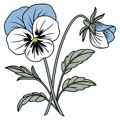 true blue pansy with leaves