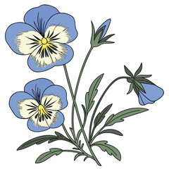 bluehead gilia with leaves