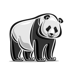 Vector illustration of Giant Panda Bear