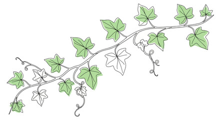 Elegant vine illustration with delicate line work and soft green leaves on white background