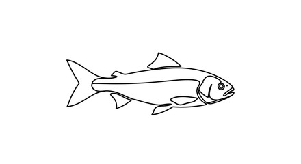 Elegant minimalist black line drawing illustration of a fish swimming gracefully in the water